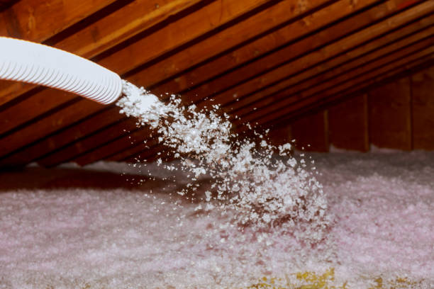 Best Insulation for Specific Applications in Loxahatchee Groves, FL