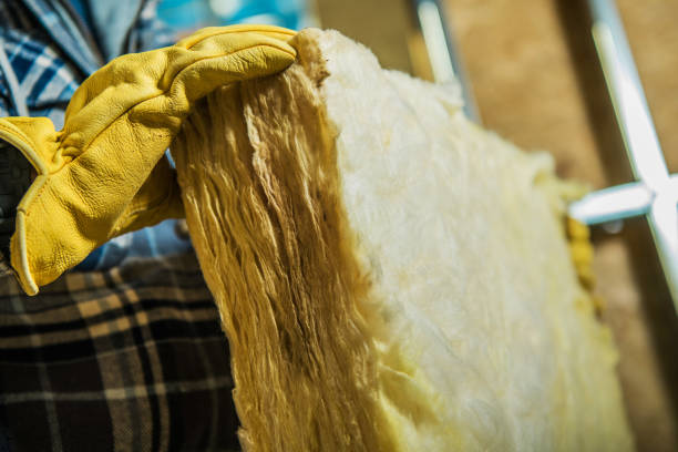 Best Types of Insulation in Loxahatchee Groves, FL